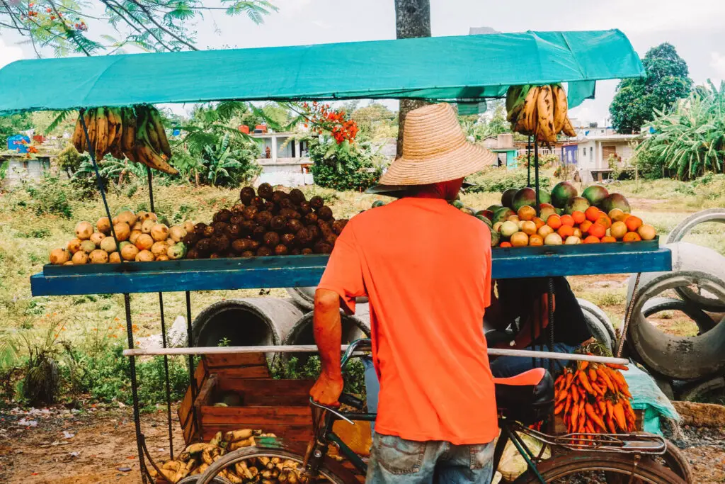 my favorite thing to do in Vinales Valley is just walk around