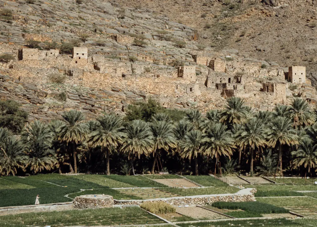 Al hamra an abandoned village in Oman