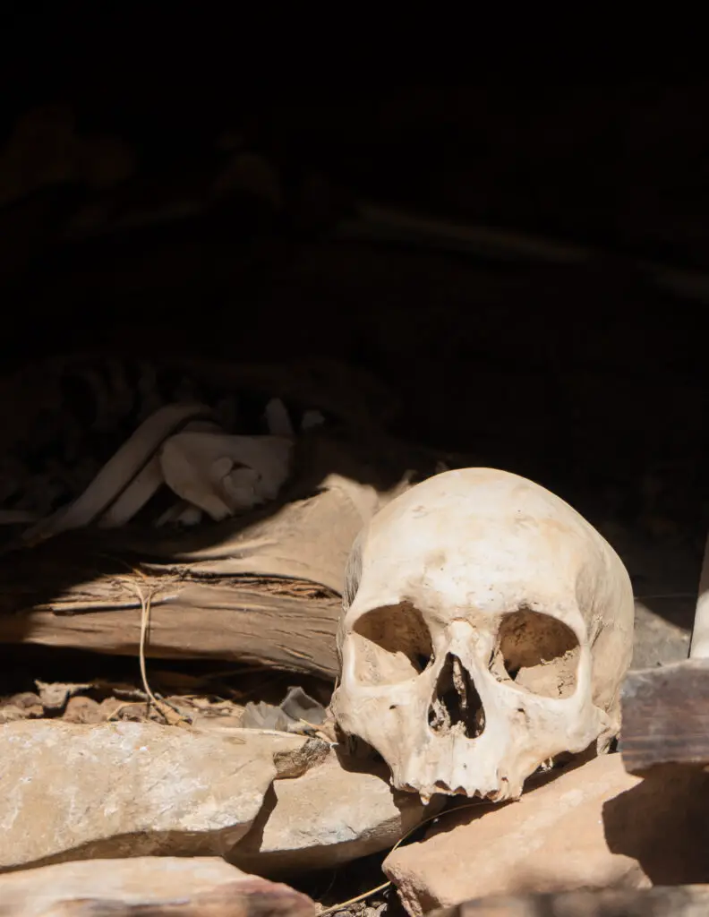 a human skull in a cave