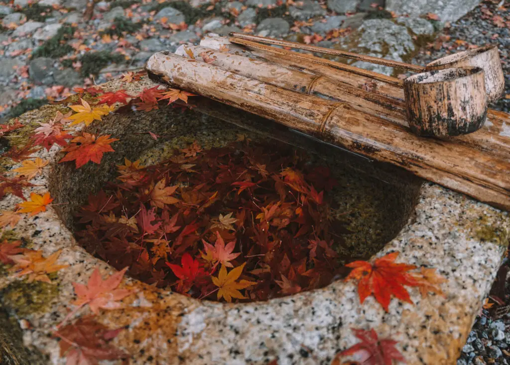 Momiji or maple leaves in a temple on Mount Hiei in Shiga Prefecture of Kansai Japan