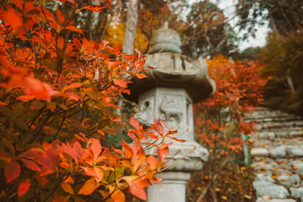 Keisokuji Temple in Autumn with autumn foliage