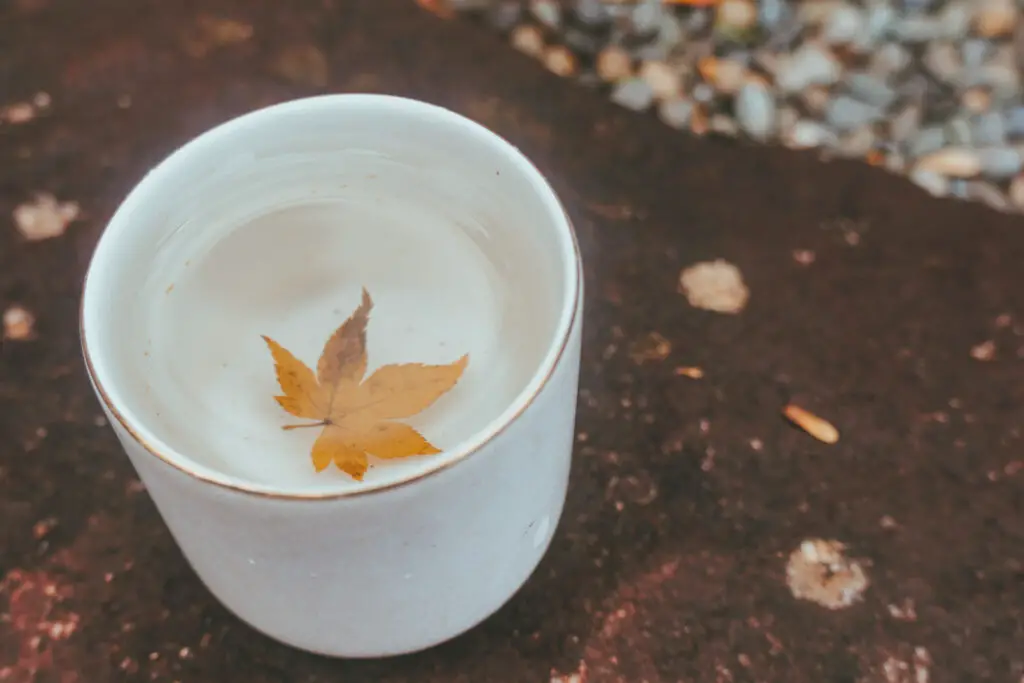 A maple leaf in a cup of sake in Autumn 