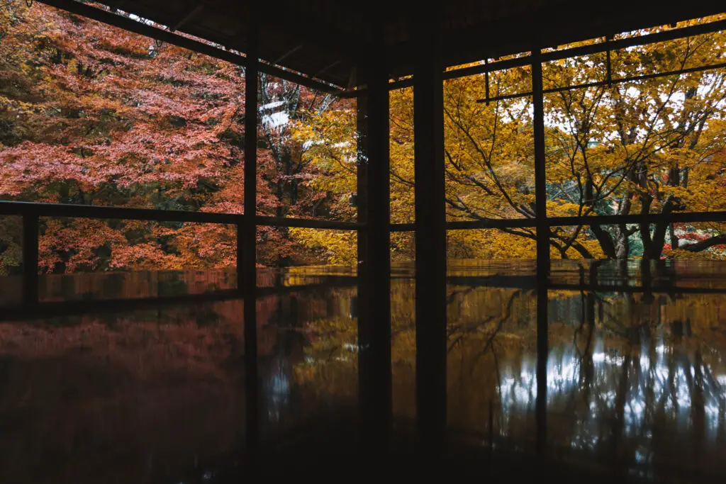 Rurikoin Temple is one of the best temples in Kansai Japan in autumn for  autumn colors