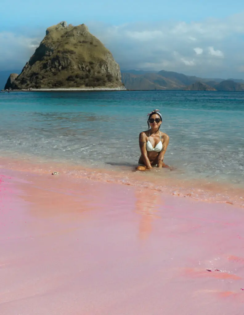 pink beach in komodo national park