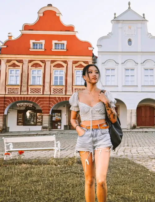 travel guide for telc