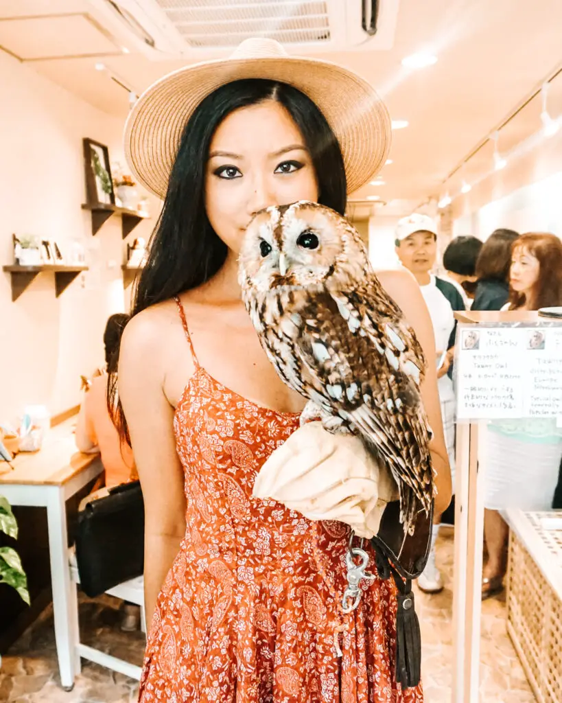 a girl with an owl at an owl cafe in japan
