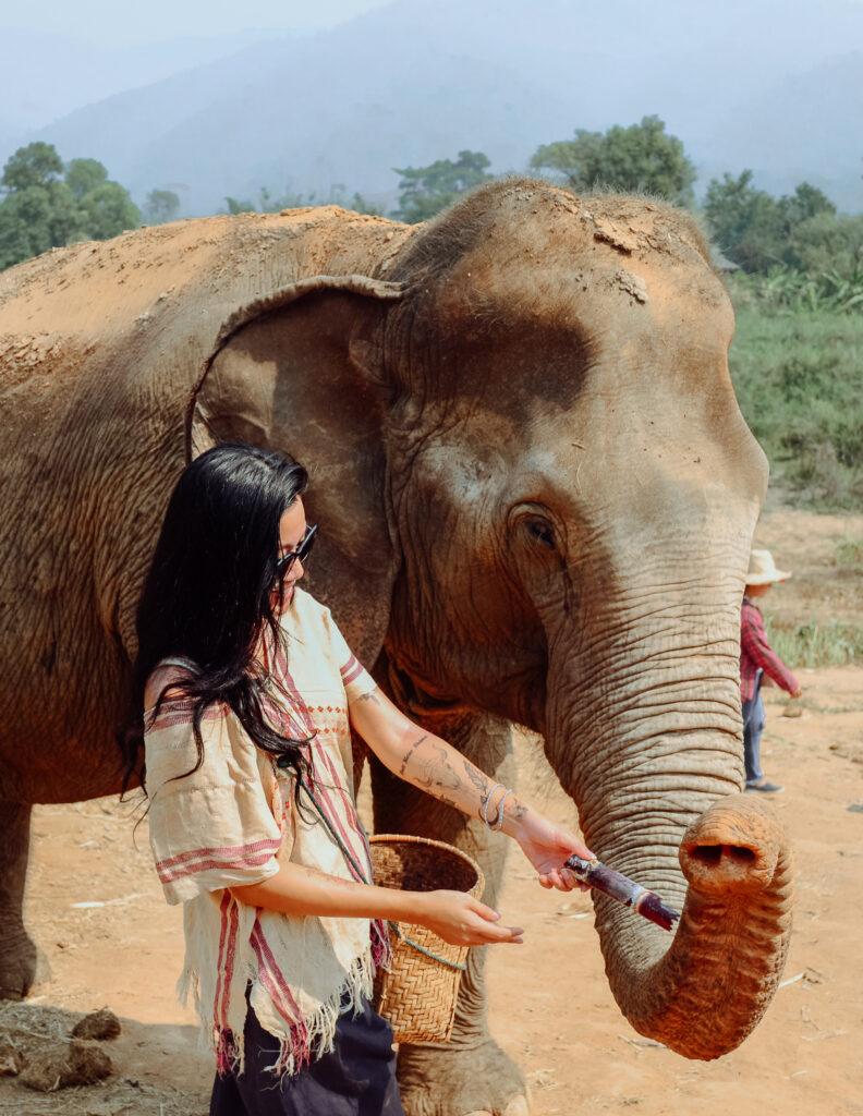 a girl  playing with an elephant in Thailand
