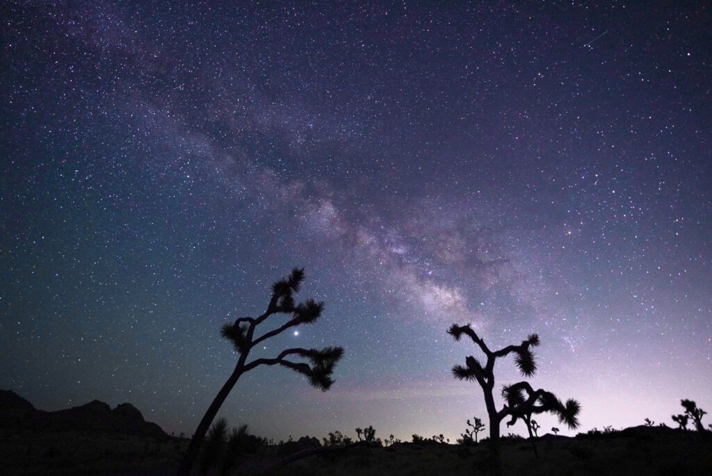 the Milky Way in the desert as seen while on a road trip in America