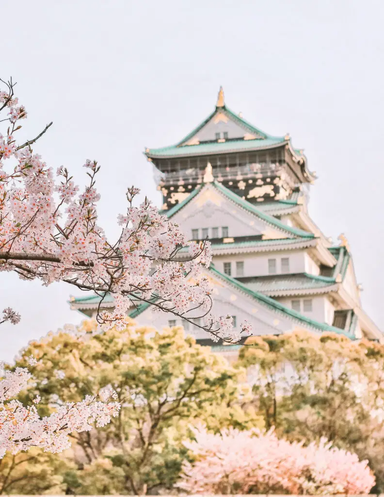 osaka castle and some cherry blossoms