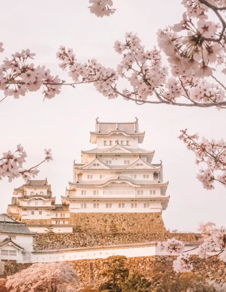 flowers for framing like cherry blossoms in japan at himeji castle