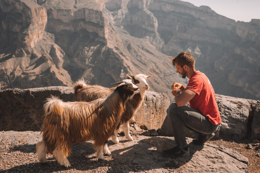 a man feeding two goats at jebel shams in oman