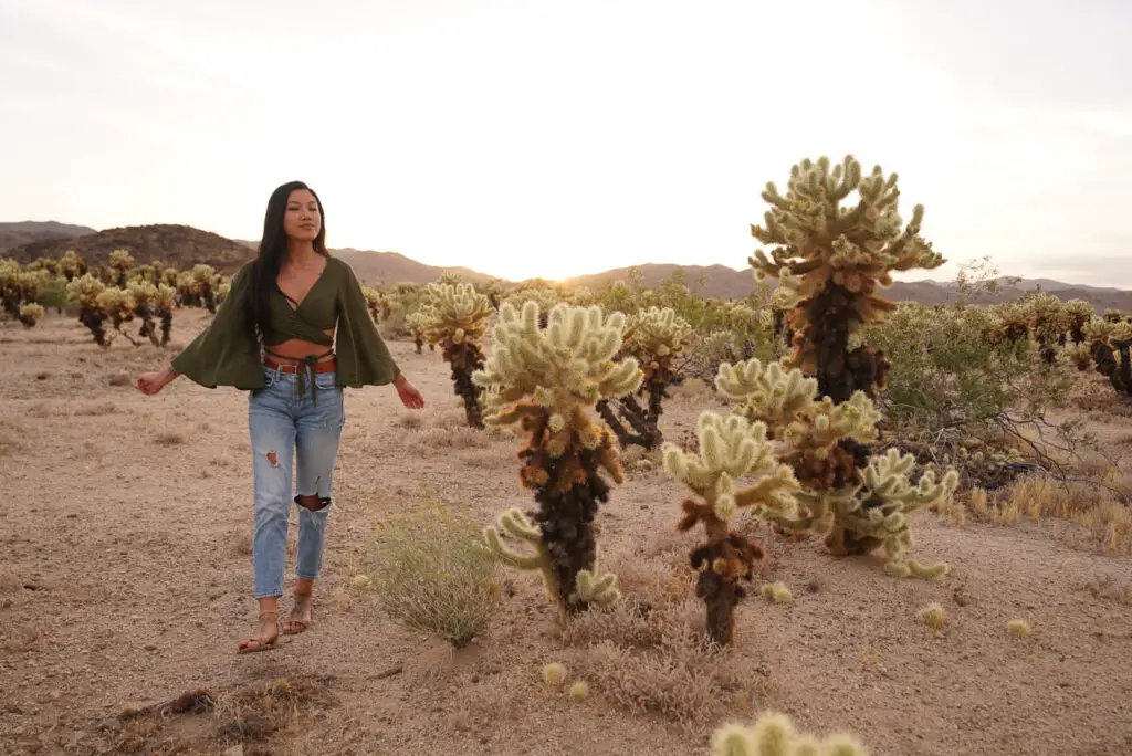 improve your travel photos by shooting at golden hour for the best lighting