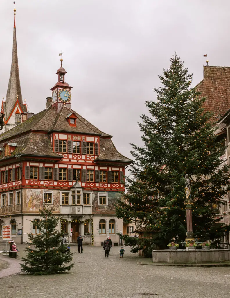 a giant christmas tree in the town square in stein am rhein in switzerland