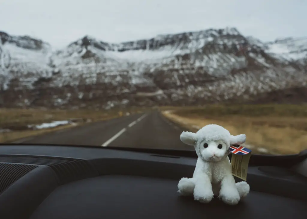 a stuffed animal sheep on the car dashboard in winter in iceland