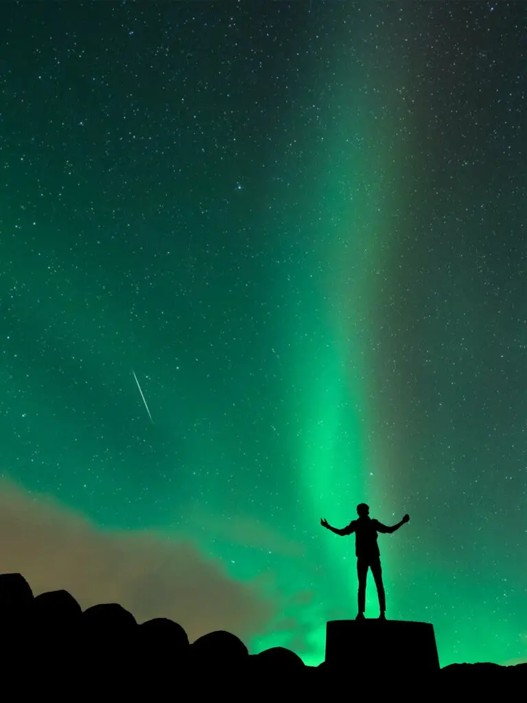 a man looking at the northern lights 