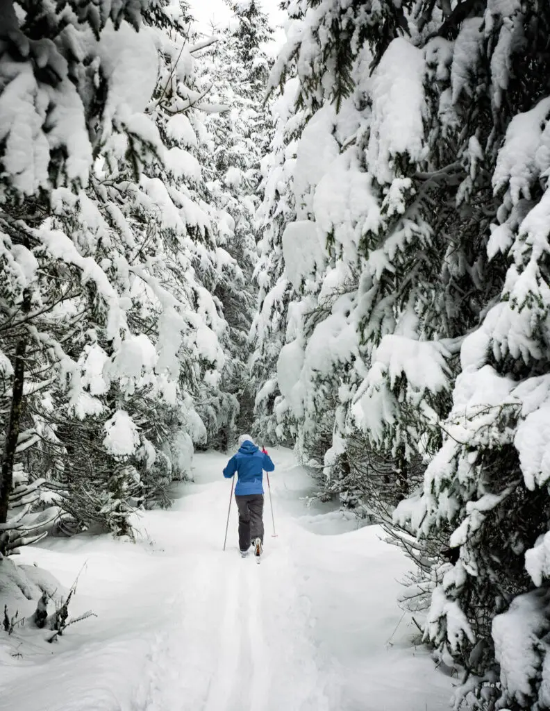 a person in the snow cross-country skiing between snow covered trees