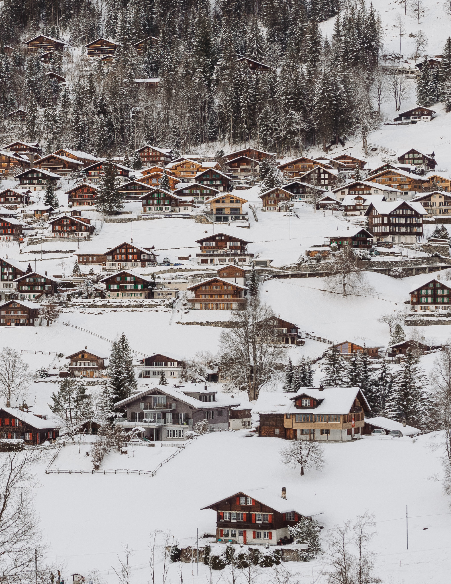 many wooden huts surrounded by snow in Grindelwald village in winter
