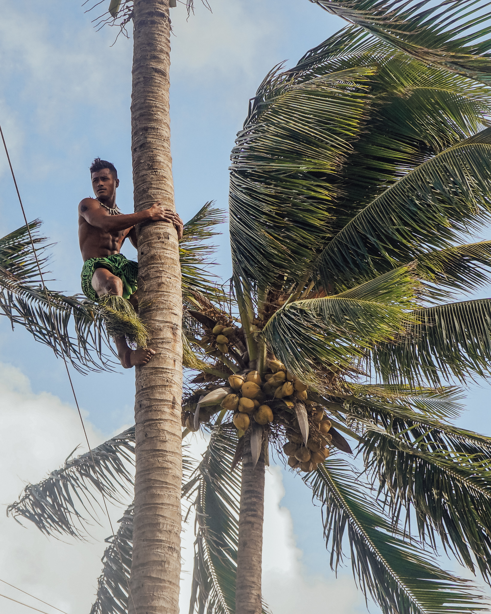 a man climbing a coconut tree at the polynesian cultural center on oahu