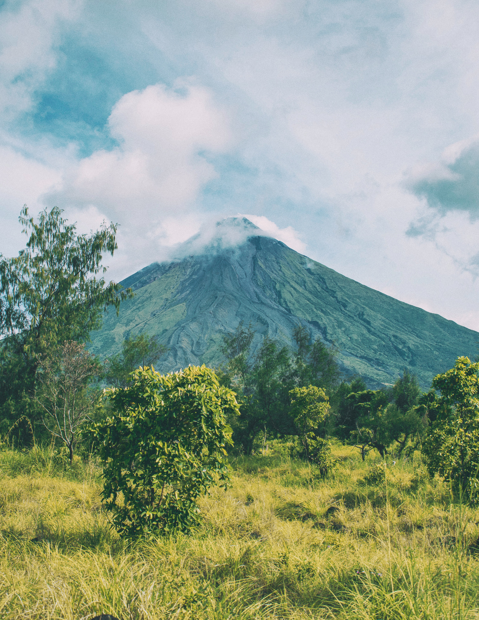 a view of mount mayon over the jungle in the philippines