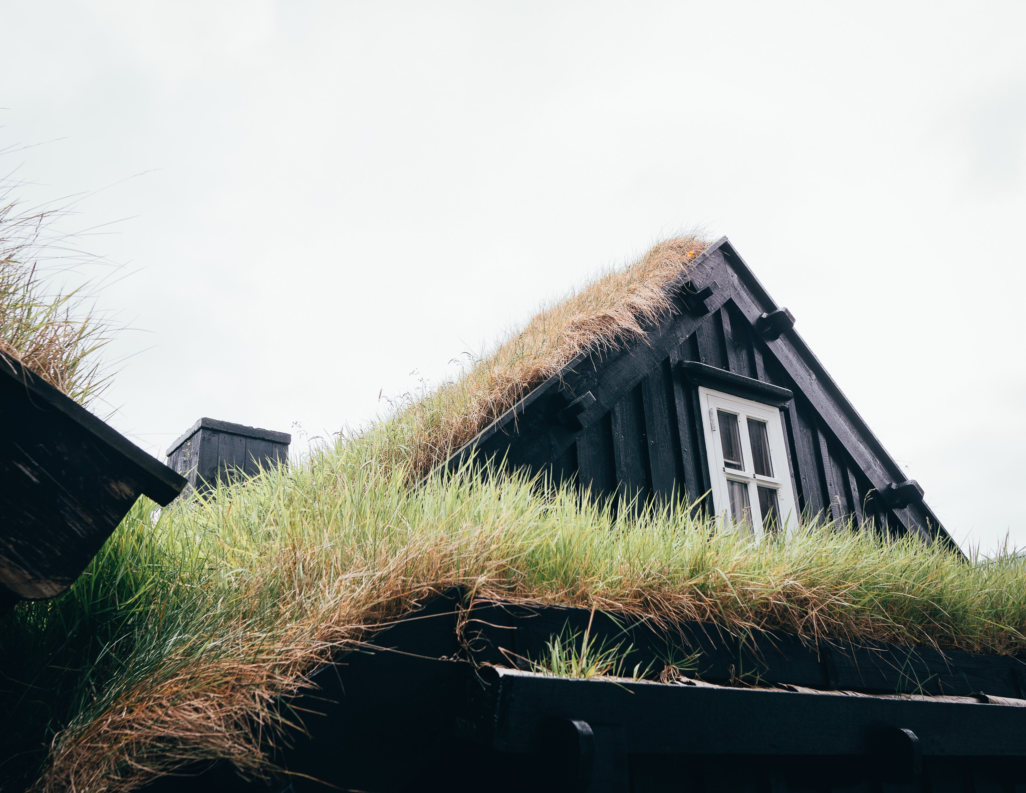 traditional grass roofs in the old town of torshavn
