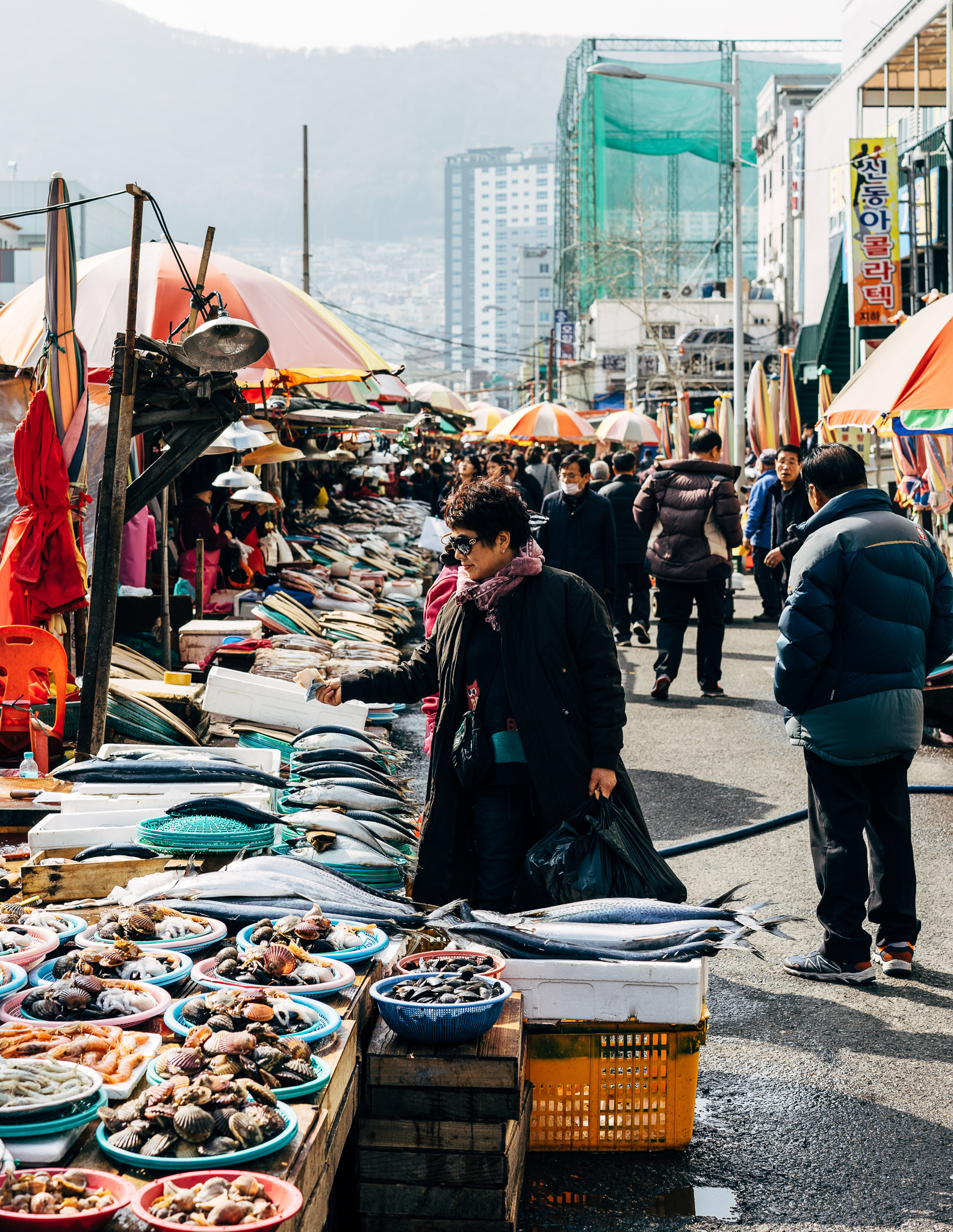 a view of the seafood market in busan, south korea