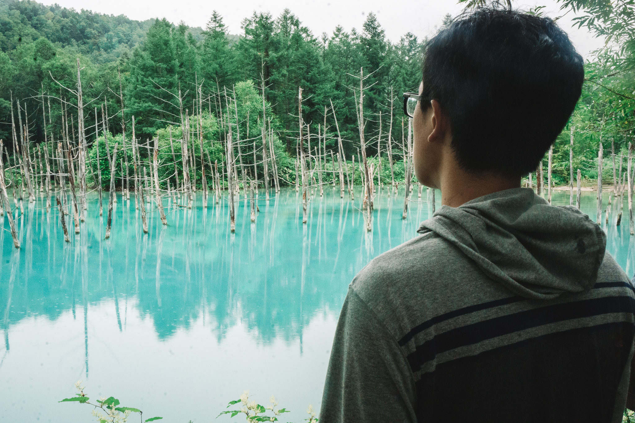 A man looking at the Blue Pond in Hokkaido in summer
