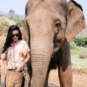 ethical elephant sanctuary in Thailand
