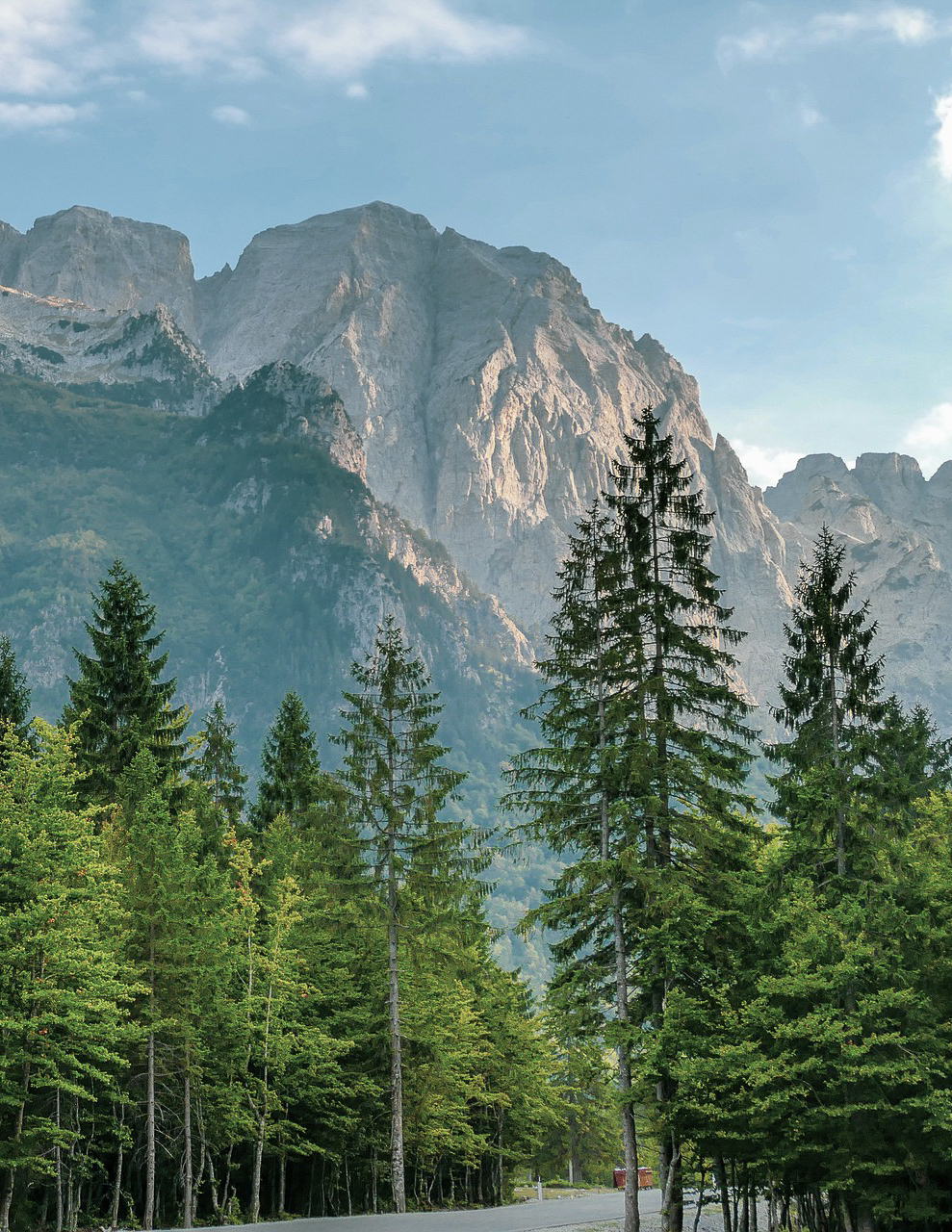 trees and mountains in the Albanian Alps