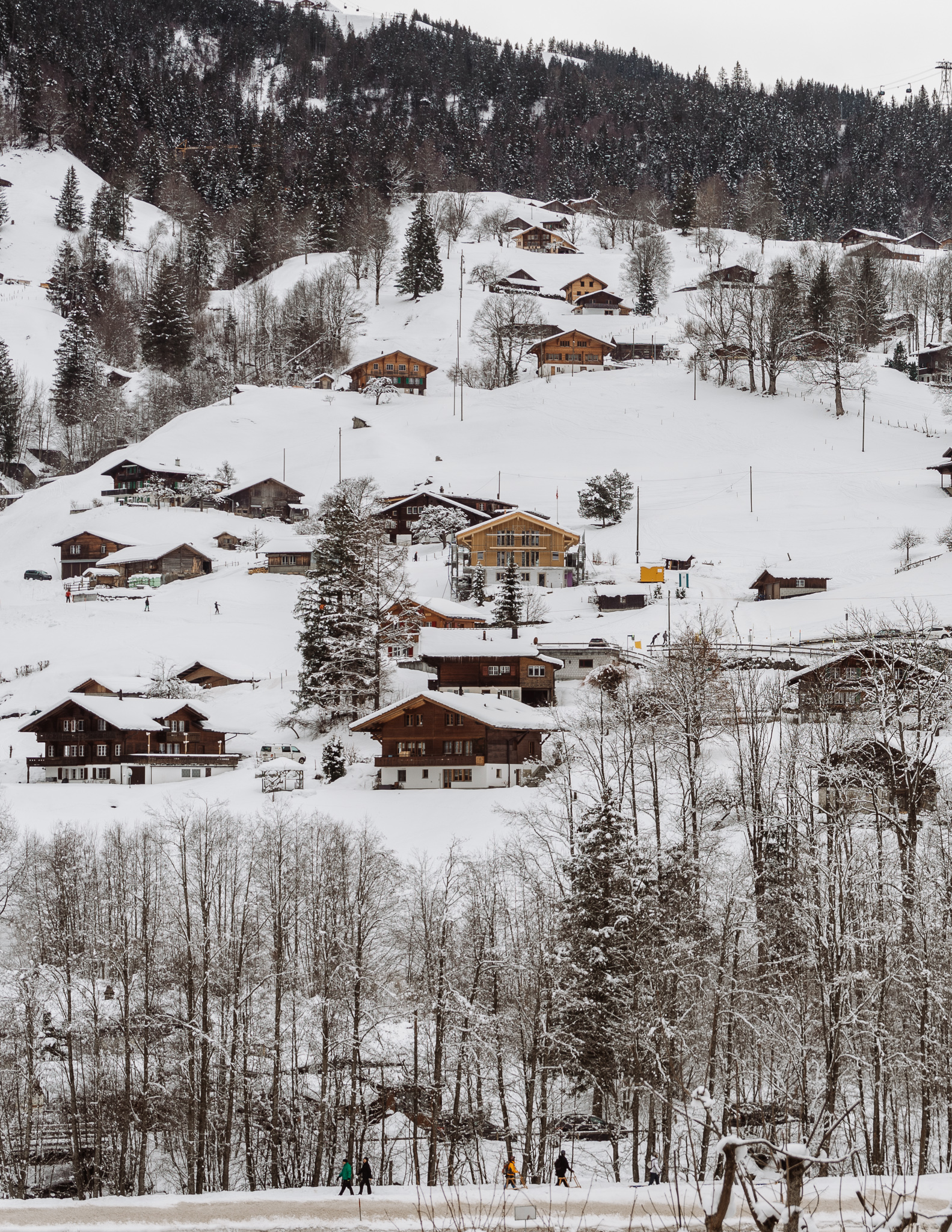 wooden chalets on the hillside in winter. Snow covers the roofs and the hill, and there are trees above the hill also covered in snow.