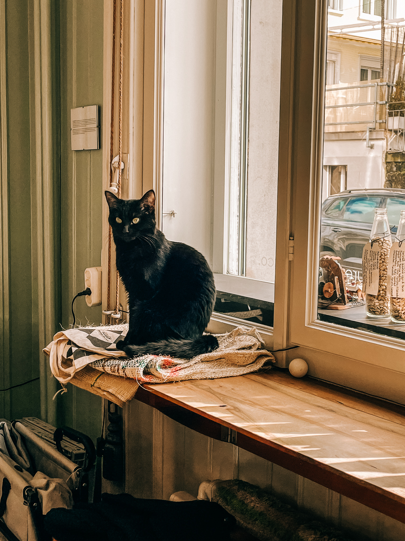 a black cat sitting on a folding knitted cloth beside a window in a cafe in St. Gallen in winter.