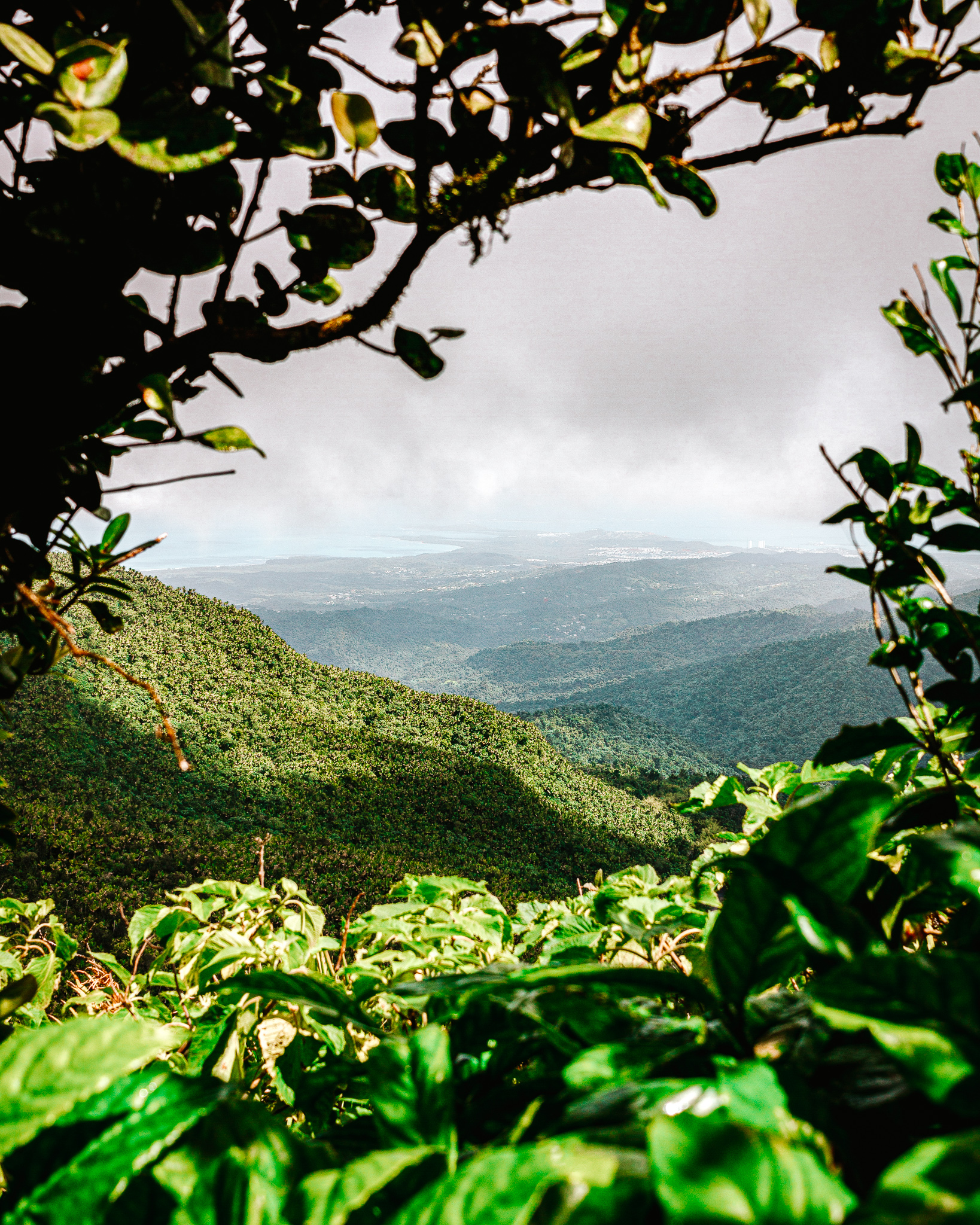 puerto rico trip planner