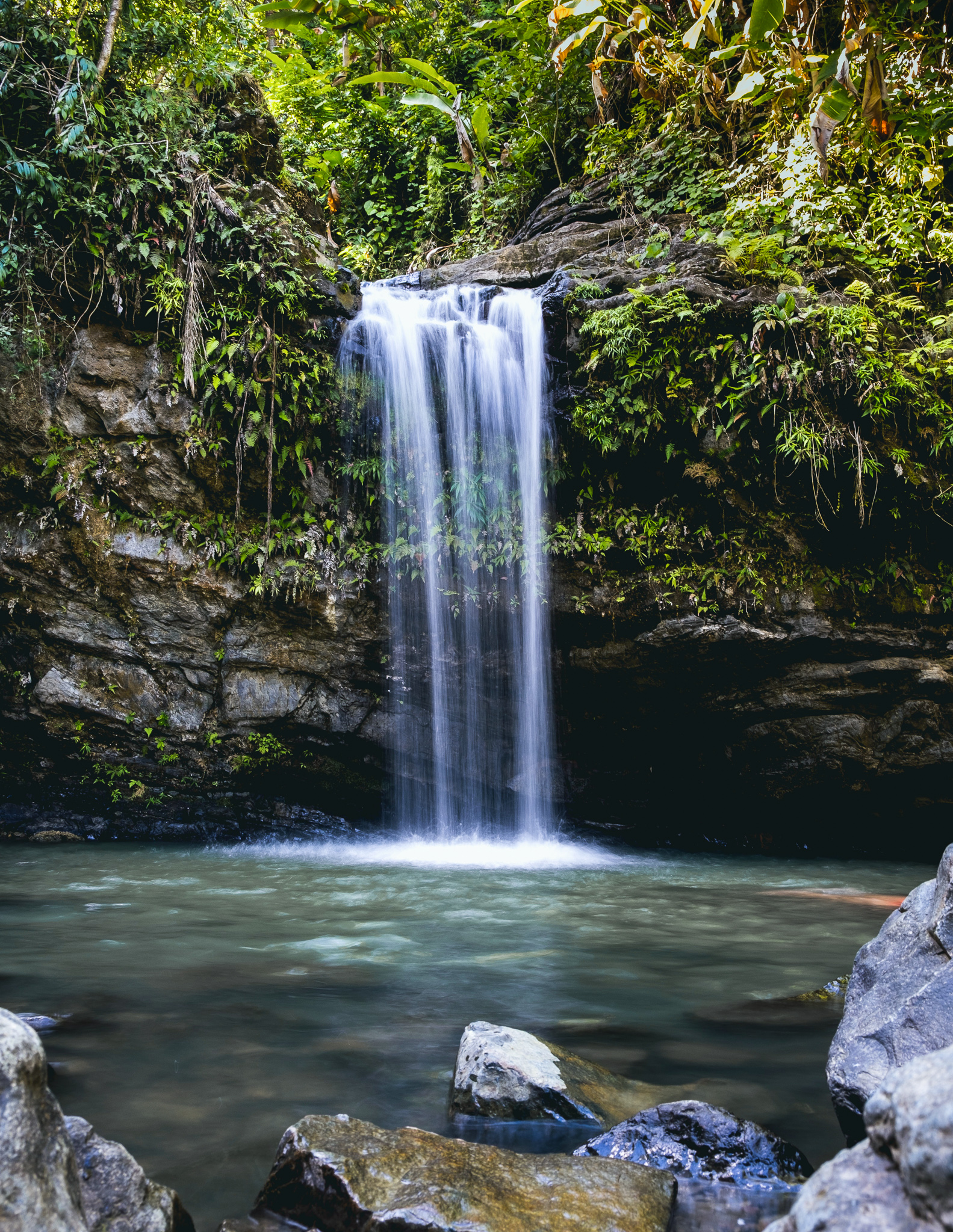 go ahead tours puerto rico