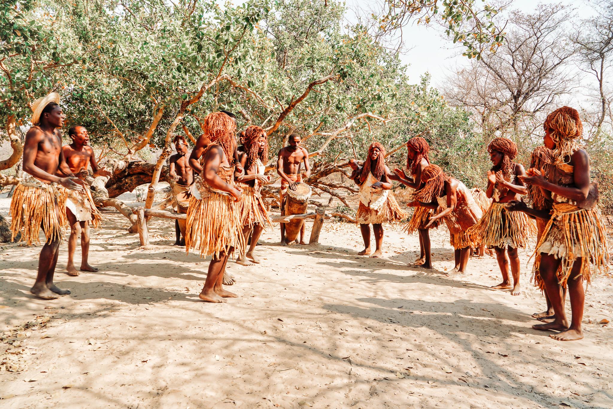 bush people in Namibia dancing outside under trees