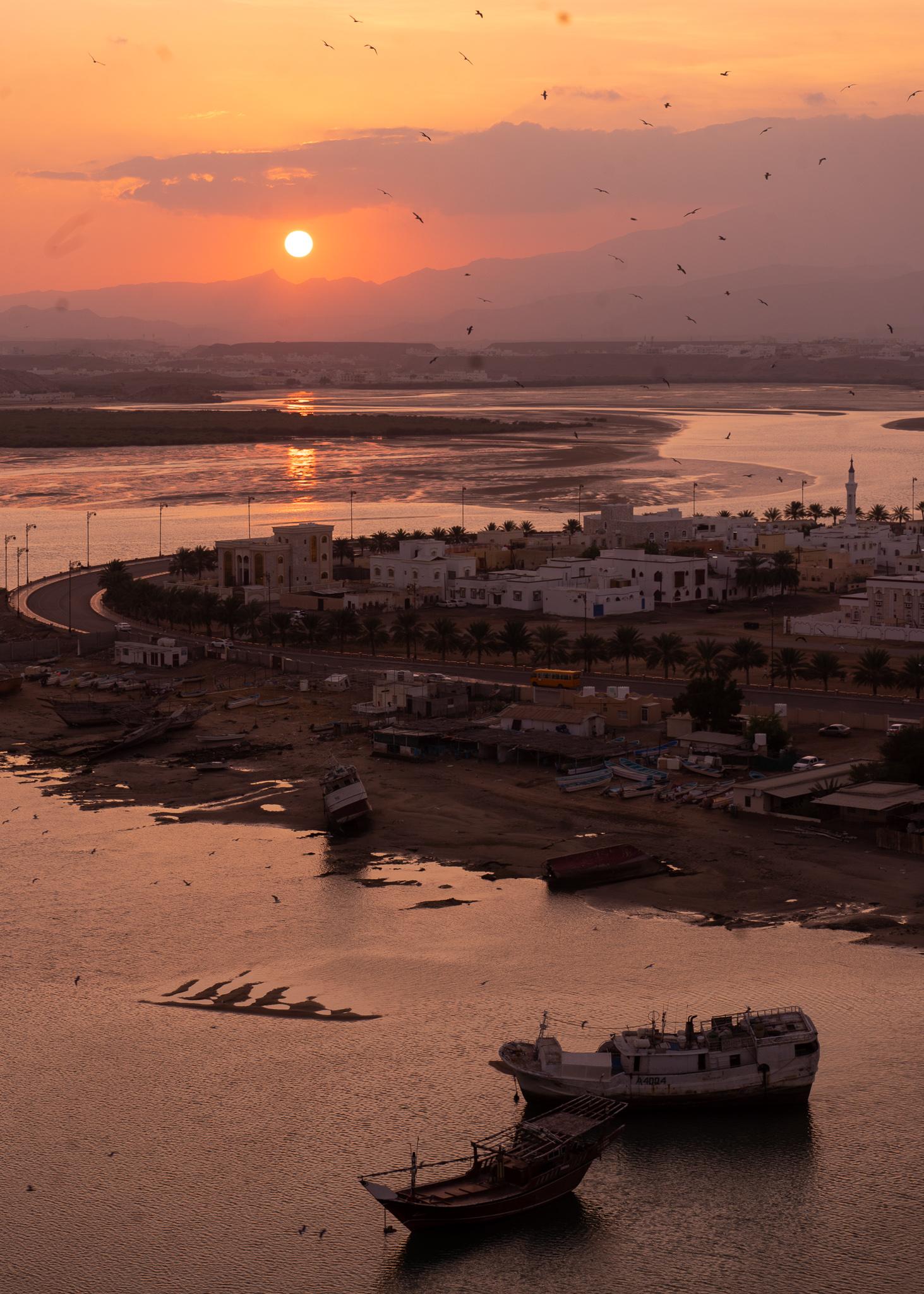 A view of a sun setting with many birds flying in the distance in Sur, Oman