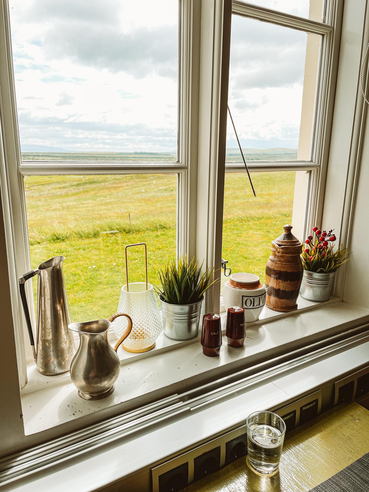 potted plants alongside a windowsill in the Historic Héraðsskólinn guesthouse
