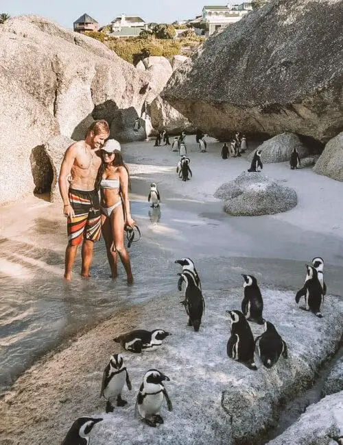 Man and woman at Boulders Beach in Caoe Town, South Africa surrounded by many penguins.